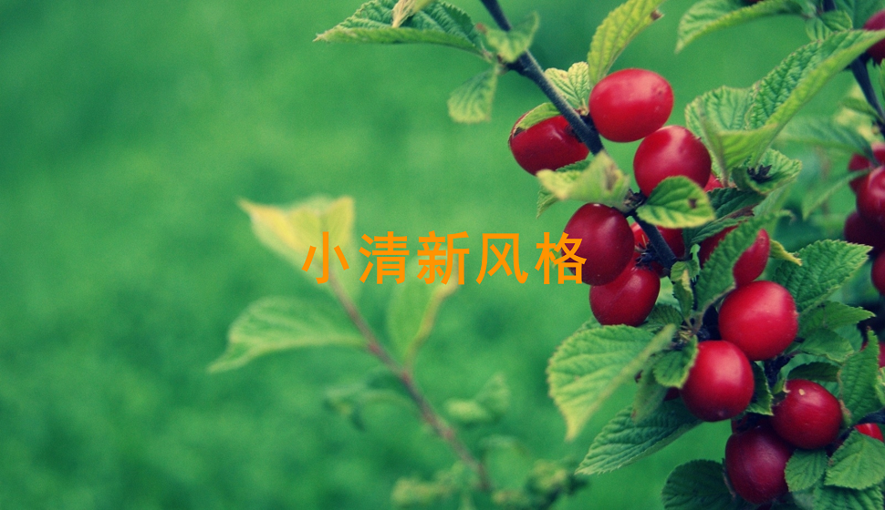 手把手教會(huì)你小清新風(fēng)格插畫(huà)