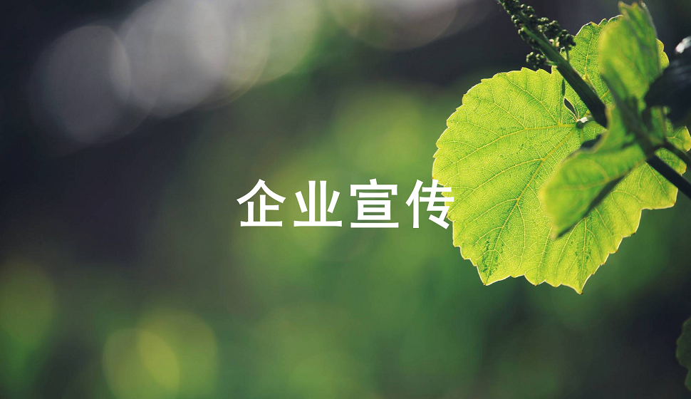 企業(yè)宣傳類名片折頁(yè)設(shè)計(jì)教程