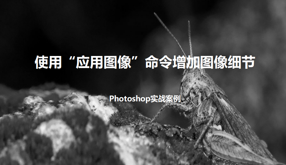 photoshop 使用“應用圖像”命令增加圖像細節(jié)