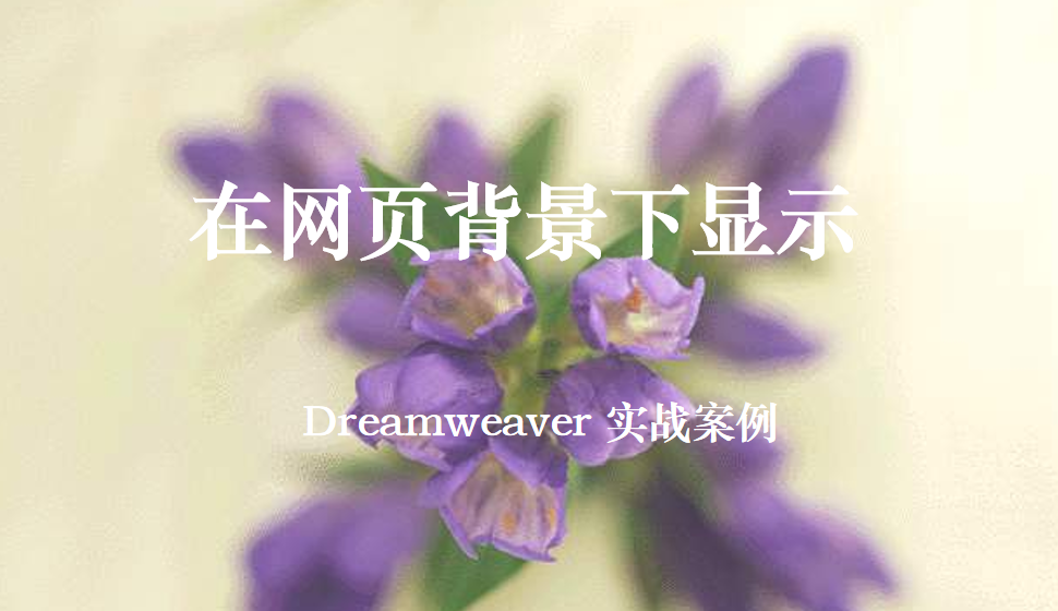  Dreamweaver 在網(wǎng)頁(yè)背景下顯示