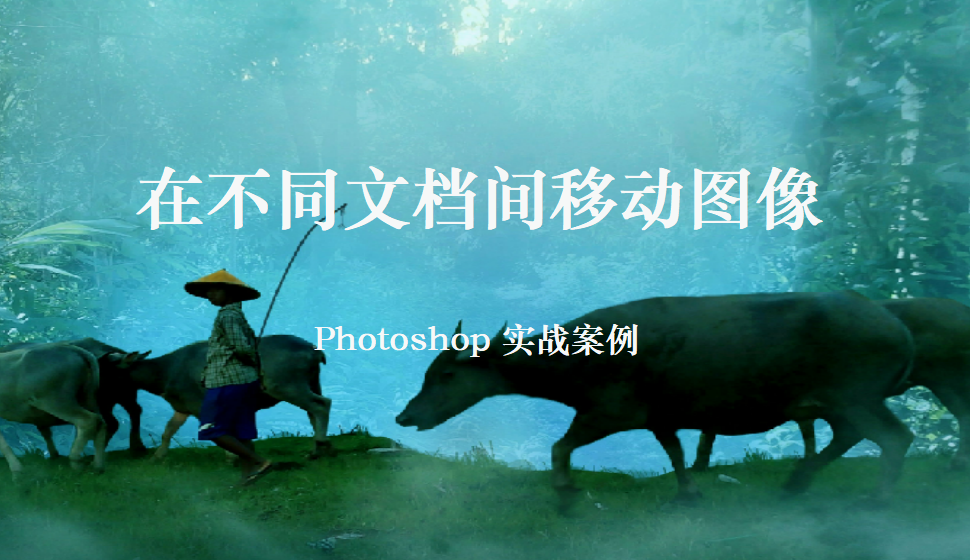 Photoshop 在不同文檔間移動(dòng)圖像