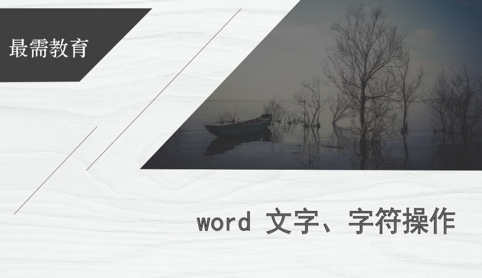 word 文字、字符操作