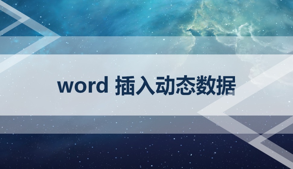 word 插入動態(tài)數(shù)據(jù)