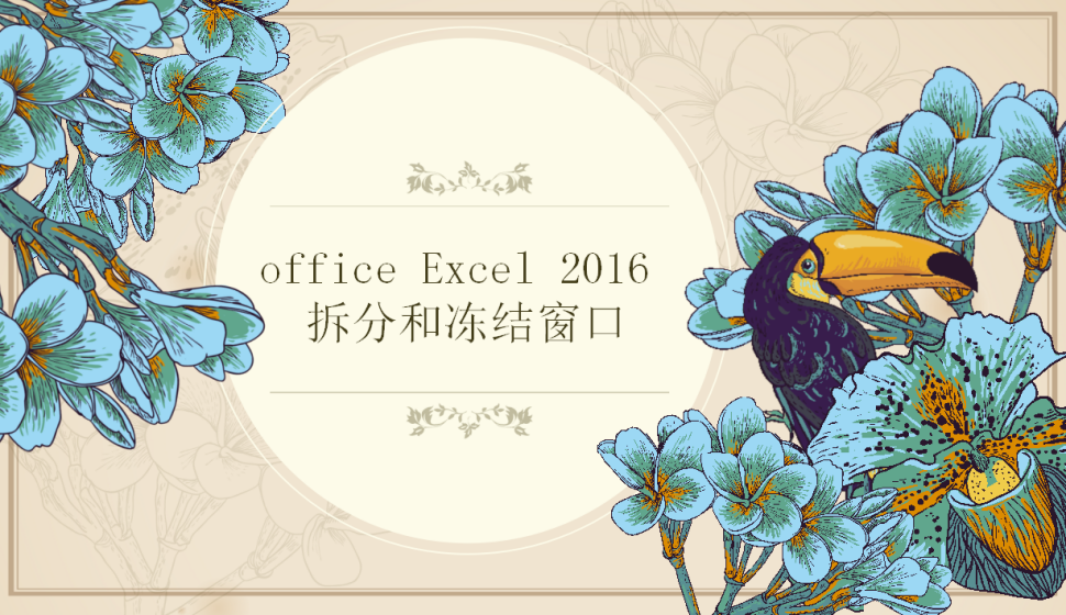 office Excel 2016 拆分和凍結(jié)窗口